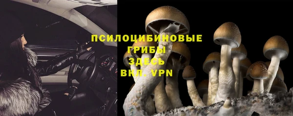не бодяженный Алзамай