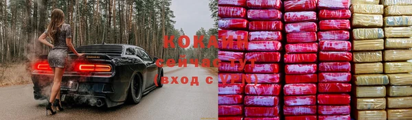 крисы Алексин
