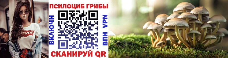 Псилоцибиновые грибы Magic Shrooms  Гдов 
